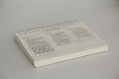 FİKİRZEDE POLYGLOT YABANCI DİL PLANLAYICI