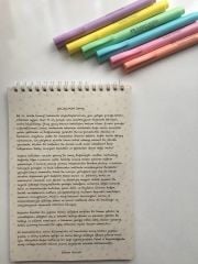 ÖNCÜ NESİL FİKİRZEDE PLANLAYICI