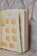 FİKİRZEDE İSLAMİ PLANLAYICI