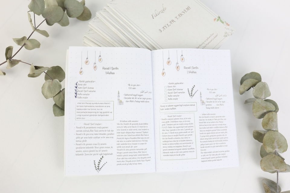 Üç Aylar Planlayıcı