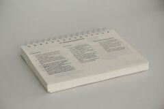 FİKİRZEDE POLYGLOT YABANCI DİL PLANLAYICI  (Turuncu)